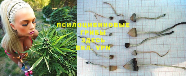 метадон Абаза