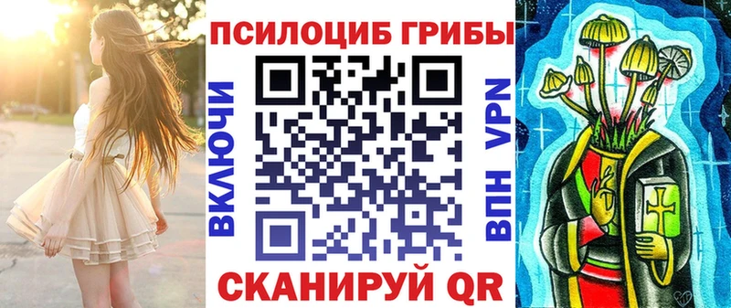 маркетплейс телеграм  хочу наркоту  Элиста  Галлюциногенные грибы Psilocybine cubensis 